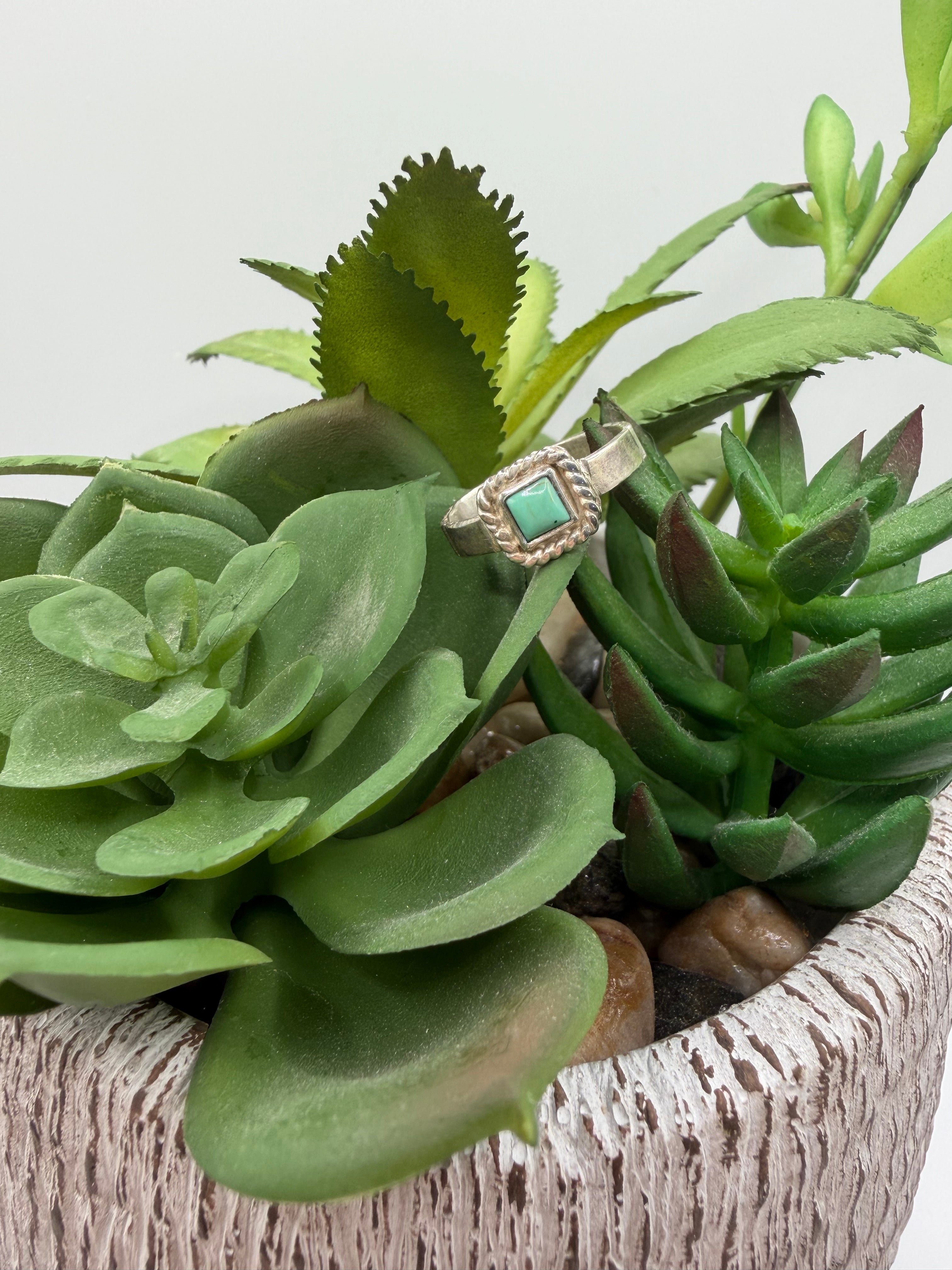 Kingman Sky Turquoise Ring, Size 5